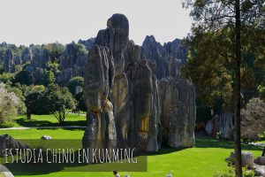 curso de chino en China