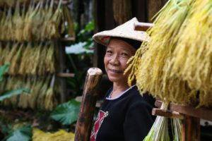 Aprender Chino y Cultura China